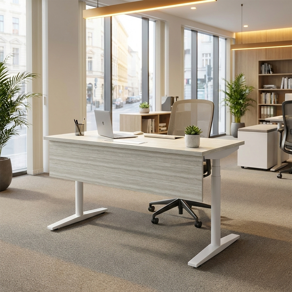 Flowt 自動升降桌